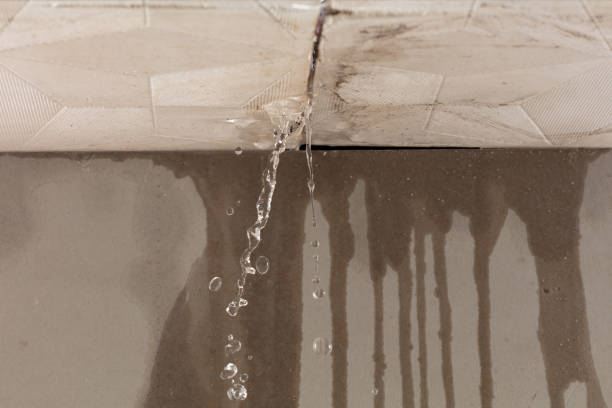 Professional Burst Pipe Cleanup technician working in Chattaroy, WA